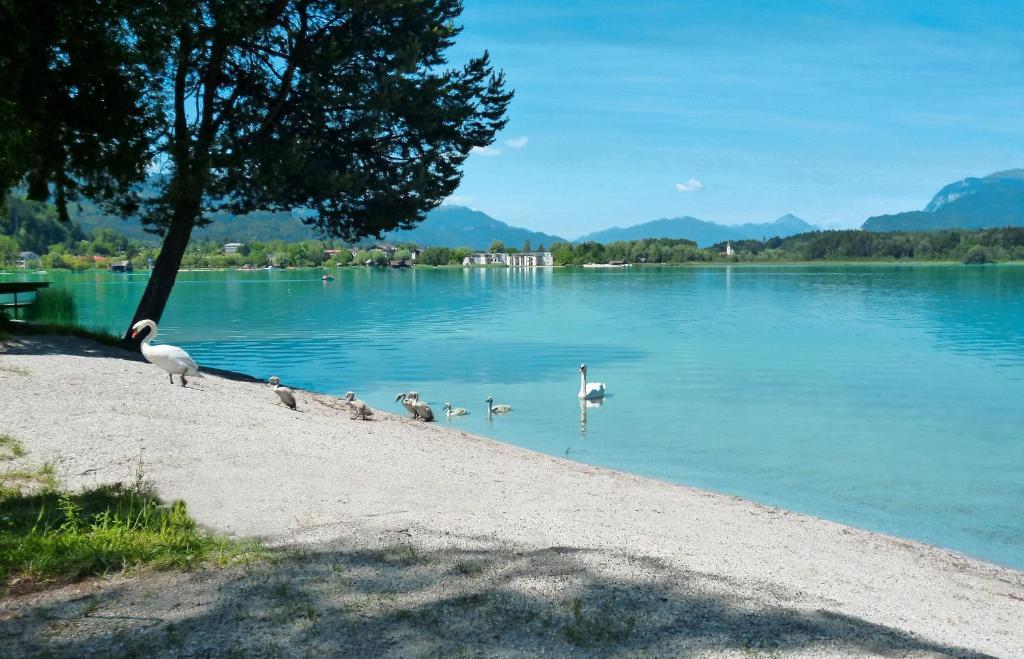 Pension Stissen Haus Am See Faak am See Buitenkant foto